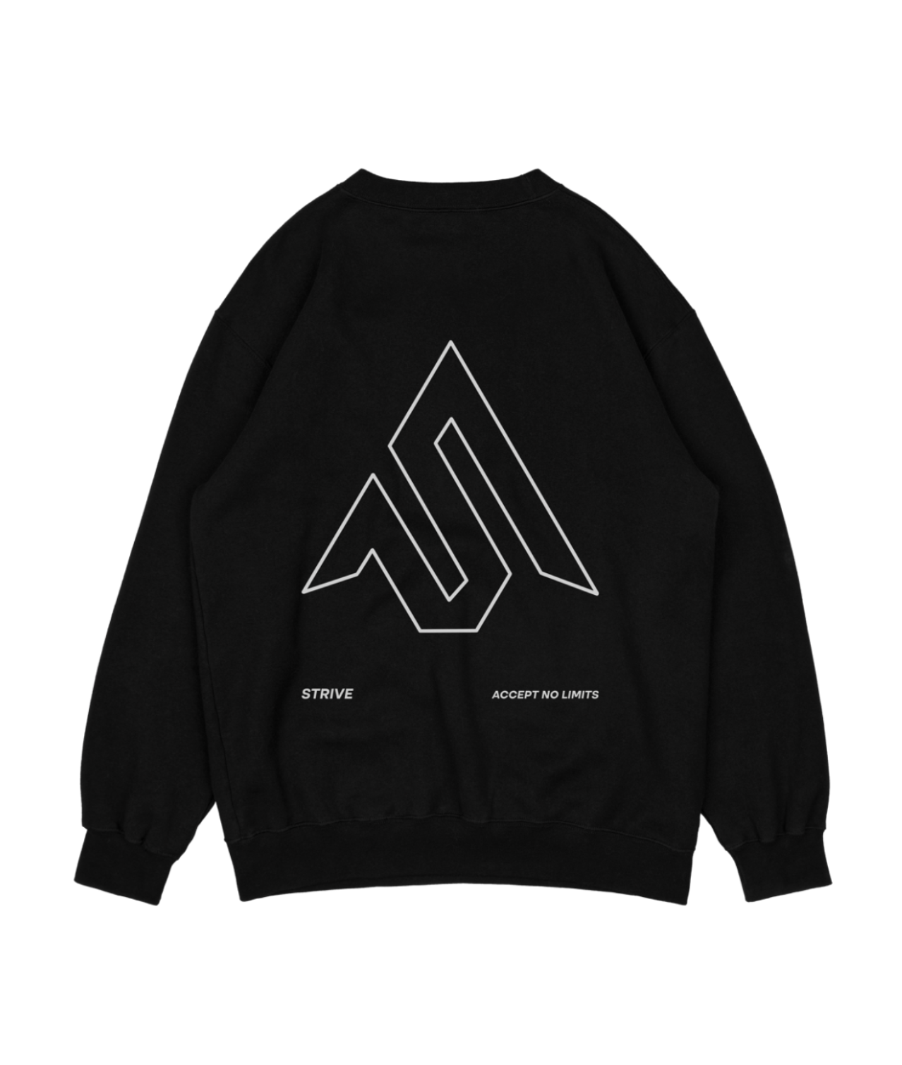 S Logo VR Sweatshirt
